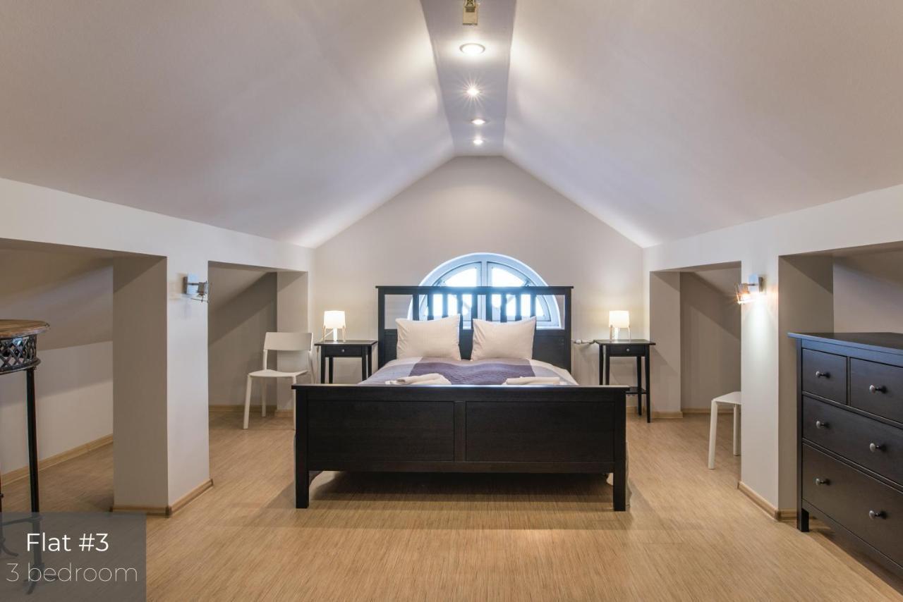 Dandelion Apartments Lacplesa 里加 外观 照片