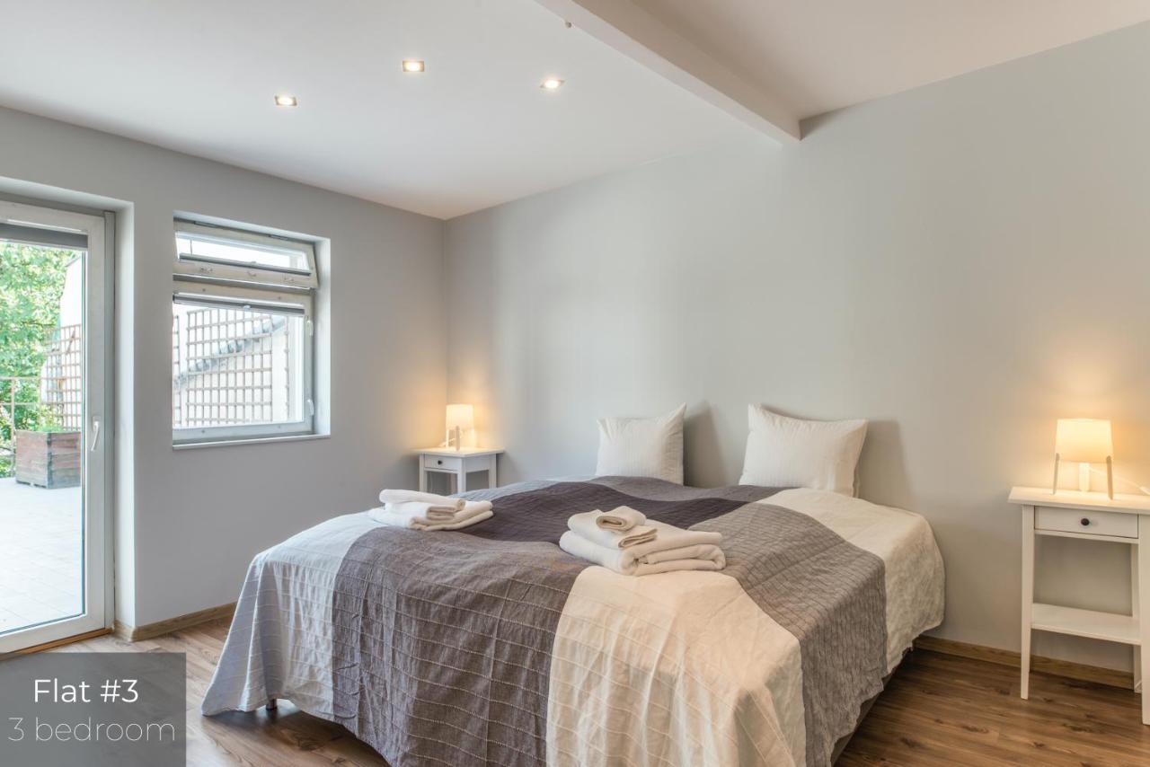 Dandelion Apartments Lacplesa 里加 外观 照片