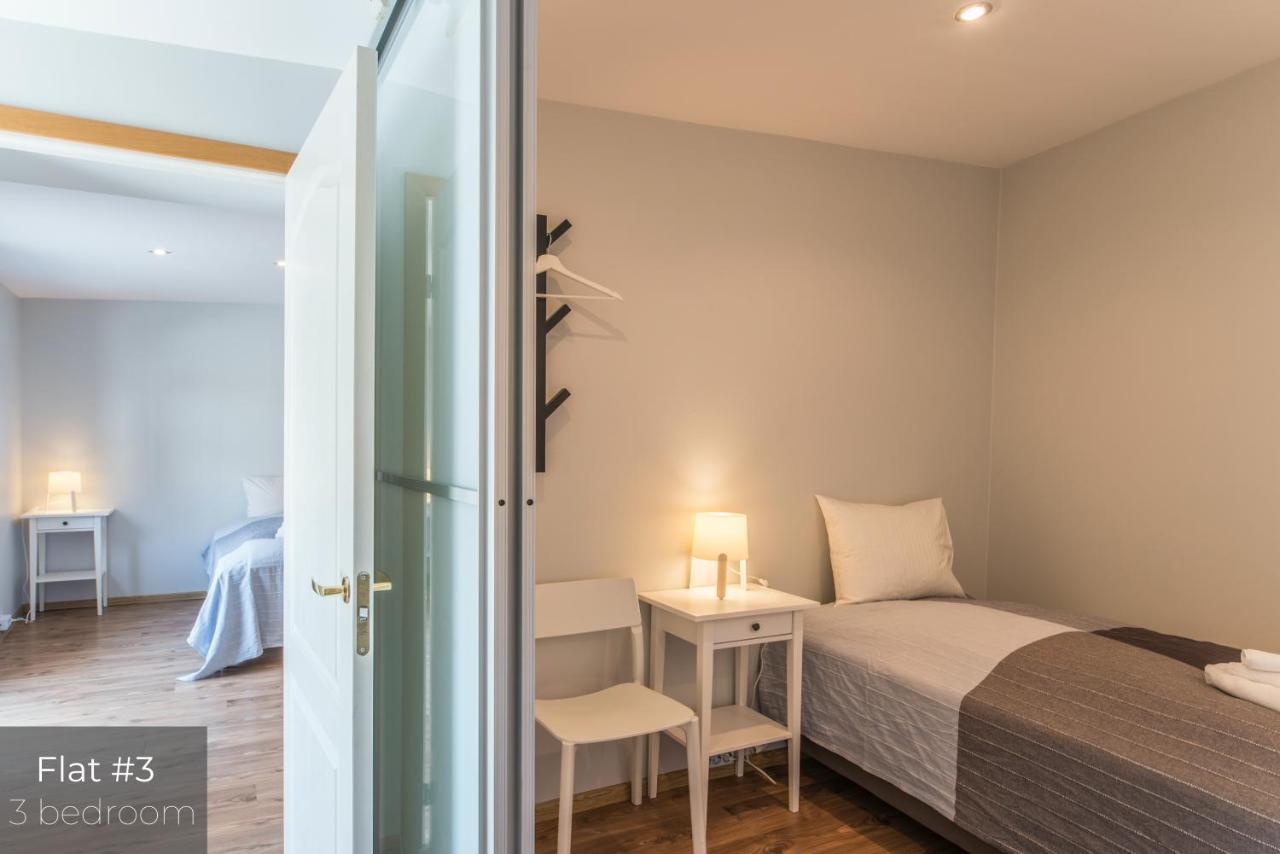 Dandelion Apartments Lacplesa 里加 外观 照片