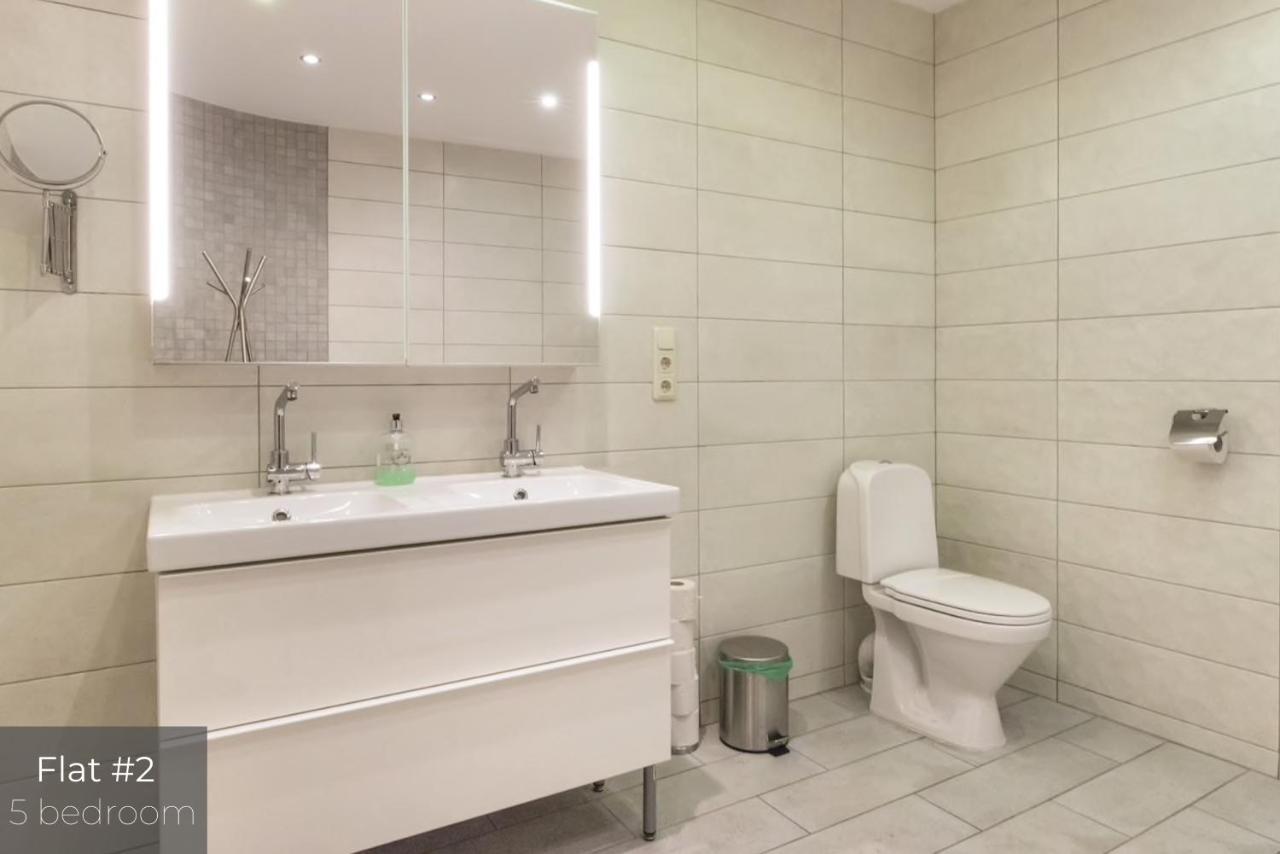 Dandelion Apartments Lacplesa 里加 外观 照片