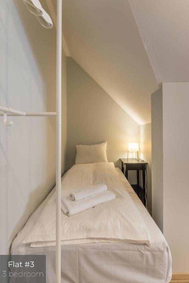 Dandelion Apartments Lacplesa 里加 外观 照片