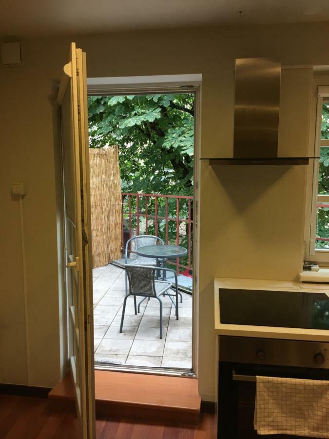 Dandelion Apartments Lacplesa 里加 外观 照片